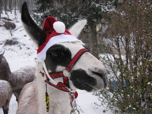 Weihnachten