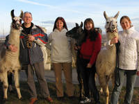 Familie Striok